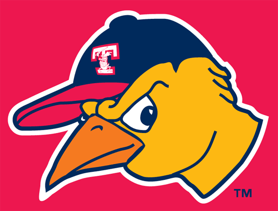 Toledo Mud Hens 19---2005 Cap Logo vinyl decal